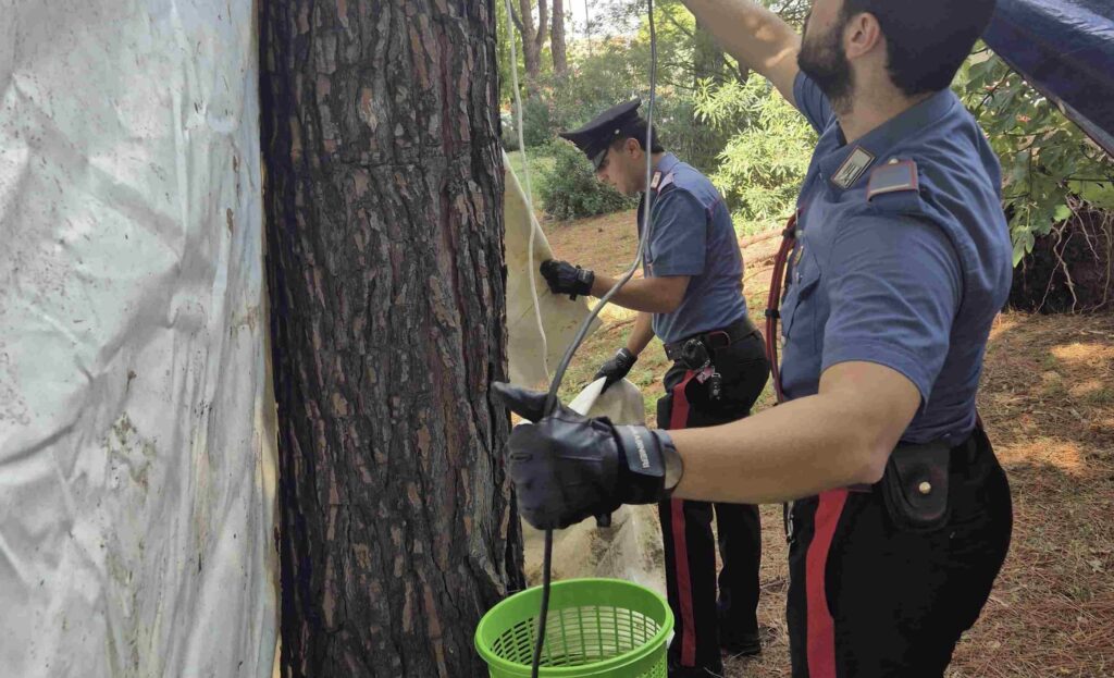 Spaccio e arresti sotto le tende a Roma: due pusher in manette 1