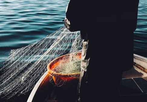 a santa marinella fish and wine copertina