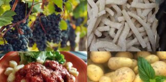 Sagre nel Lazio dal 19 al 21 settembre 2025: pizzarelle, ceciliani, patate, uva, vino e tartufi