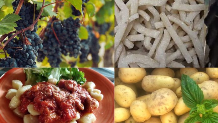 copertina sagre Sagre nel Lazio dal 19 al 21 settembre 2025: pizzarelle, ceciliani, patate, uva, vino e tartufi