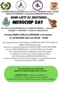 Microchip gratuiti per cani e gatti, occasione per i residenti di Cerveteri e comuni limitrofi: dove e quando 1