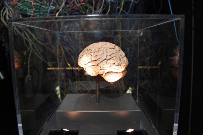 Medicina, neurologi: “L’innovazione può cambiare la storia di molte malattie ma serve equità”