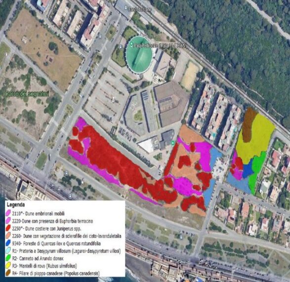 Gli ambientalisti: “Progettare il Parco del Mare per i cittadini che vivono Ostia tutto l’anno” 1