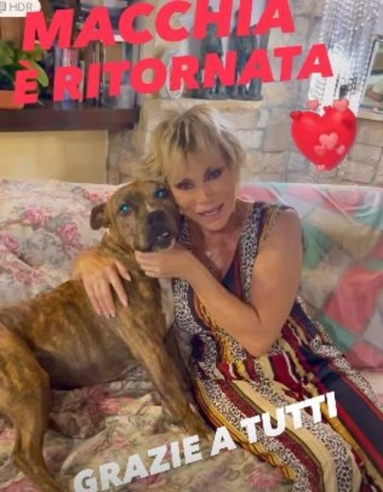"Aiutateci a ritrovare Macchia": l'appello social di Carmen Russo ed Enzo Paolo Turchi per la loro pit bull scomparsa 1