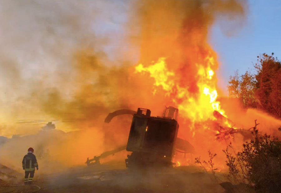 Incendio nella pineta di Castelfusano esplode dai macchinari che triturano gli alberi (VIDEO) 3 Incendio nella pineta di Castelfusano esplode dai macchinari che triturano gli alberi (VIDEO) 3