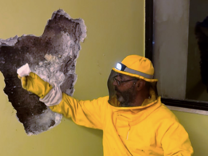 Allarme in una scuola elementare alle porte di Roma: scoperto un nido di 30 mila vespe nel muro dell’istituto (FOTO) 2 Allarme in una scuola elementare alle porte di Roma: scoperto un nido di 30 mila vespe nel muro dell’istituto (FOTO) 2