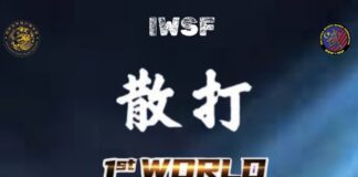 mondiale kung fu sanda