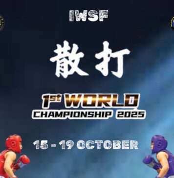 mondiale kung fu sanda