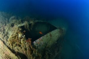 Ostia, relitto di un vecchio aereo americano sul fondo del mare diventa meta di sub e casa dei pesci (FOTO) 1