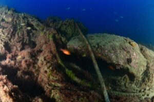 Ostia, relitto di un vecchio aereo americano sul fondo del mare diventa meta di sub e casa dei pesci (FOTO) 3