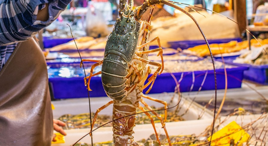 anzio sapore di mare copertina