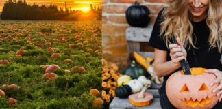 Halloween a Fregene, dove andare il 31 ottobre: strade, orari, feste per bambini