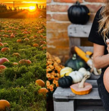 Halloween a Fregene, dove andare il 31 ottobre: strade, orari, feste per bambini