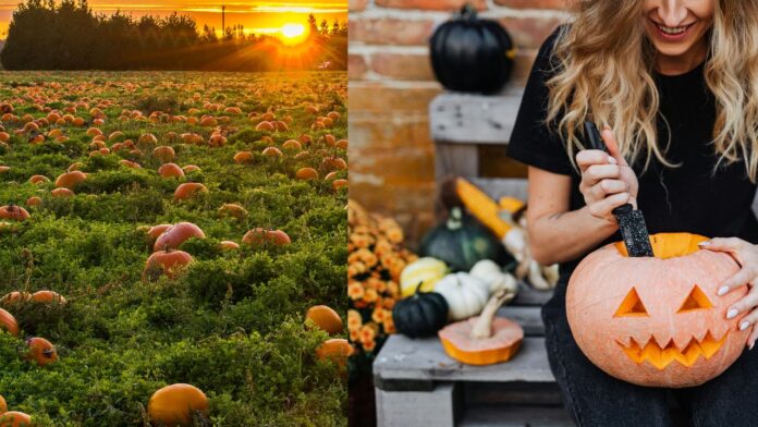 Halloween a Fregene, dove andare il 31 ottobre: strade, orari, feste per bambini