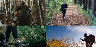 Trekking e passeggiate gratuite vicino Roma il 25 e 26 ottobre 2025: dove andare, cosa fare, come partecipare