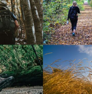 Trekking e passeggiate gratuite vicino Roma il 25 e 26 ottobre 2025: dove andare, cosa fare, come partecipare