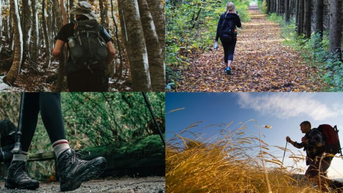 trekking copertina Trekking e passeggiate gratuite vicino Roma il 25 e 26 ottobre 2025: dove andare, cosa fare, come partecipare