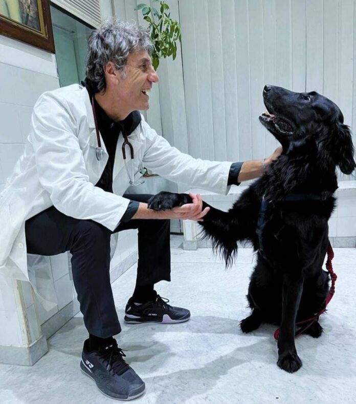 Perché i cani danno la zampa? Ecco come capire le richieste di Fido