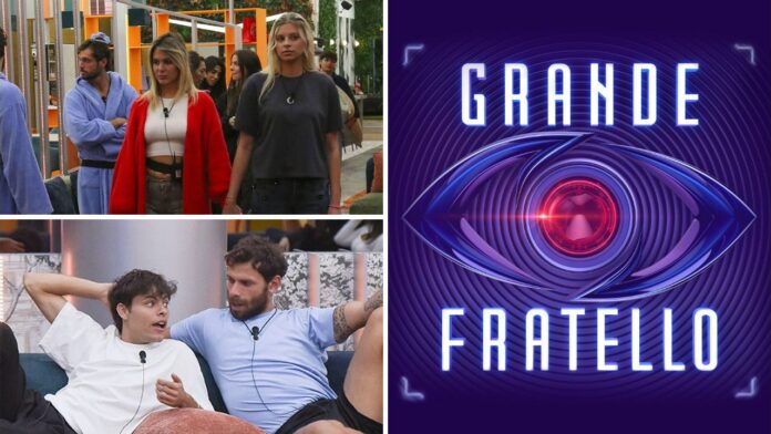 Sondaggi Grande Fratello