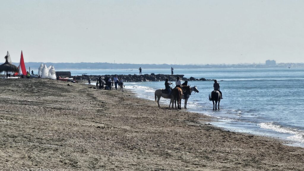 Primo novembre al mare: Ostia tra tuffi, racchettoni e galoppate sul bagnasciuga (VIDEO e FOTO) 2 Primo novembre al mare: Ostia tra tuffi, racchettoni e galoppate sul bagnasciuga (VIDEO e FOTO) 2