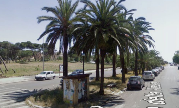 a viale della vittoria palme