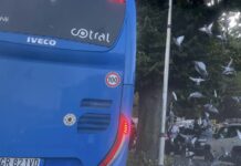 «Fermati qui»: al no dell’autista scatta il pugno. Violenza a bordo del bus a Tivoli