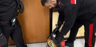 Droga nascosta in un borsone: 52enne arrestato a Ciampino