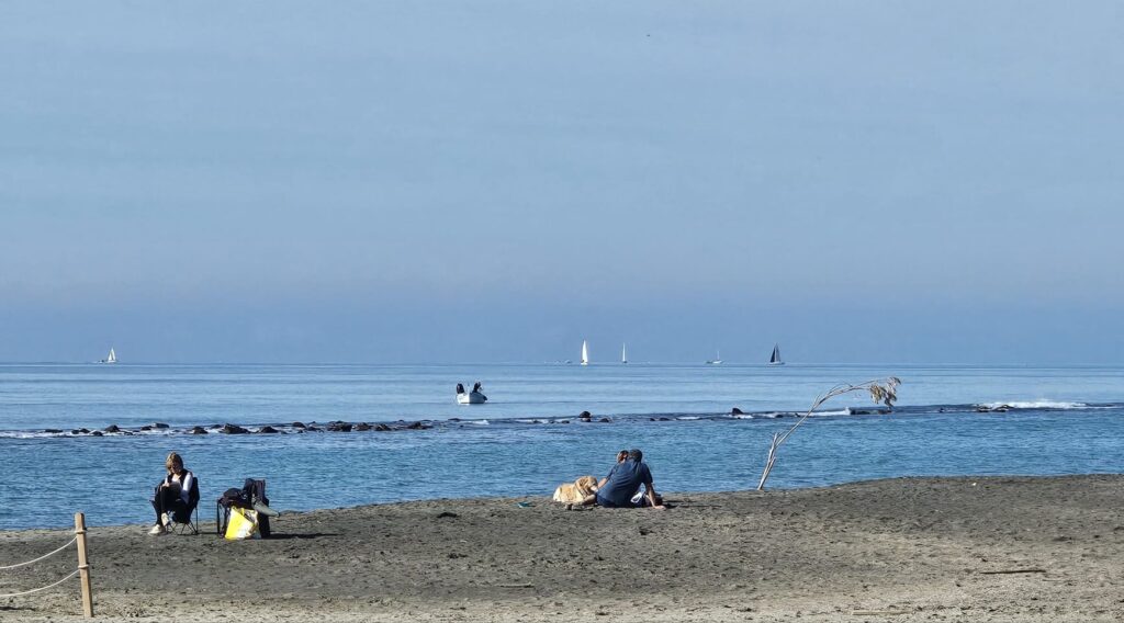 Primo novembre al mare: Ostia tra tuffi, racchettoni e galoppate sul bagnasciuga (VIDEO e FOTO) 3 Primo novembre al mare: Ostia tra tuffi, racchettoni e galoppate sul bagnasciuga (VIDEO e FOTO) 3