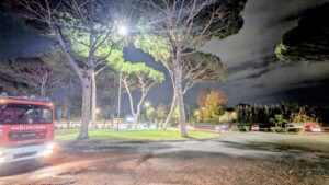 Crolla un pino sulla strada: a Casal Palocco tragedia evitata grazie ai residenti (VIDEO) 1 Pino a rischio crollo: traffico deviato e vigili del fuoco a Casal Palocco (VIDEO)