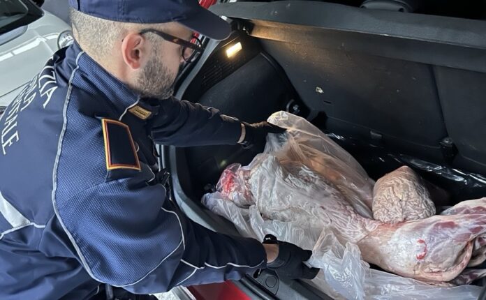 polizia-locale-carne