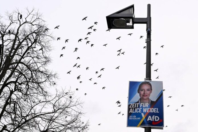 Germania, Afd primo partito: il sondaggio premia l’estrema destra