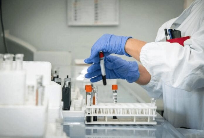 Hantavirus, 4 persone monitorate in Italia: “Non hanno sintomi”