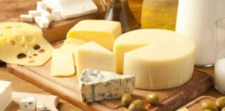 Richiamo alimentare e formaggio tolto dal mercato: ritirati alcuni prodotti per rischio Escherichia coli Home 13