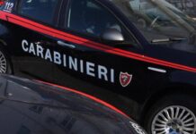 Colpita alle spalle dalle sassate, la docente dell'istituto Copernico di Pomezia ha avuto 14 giorni di prognosi