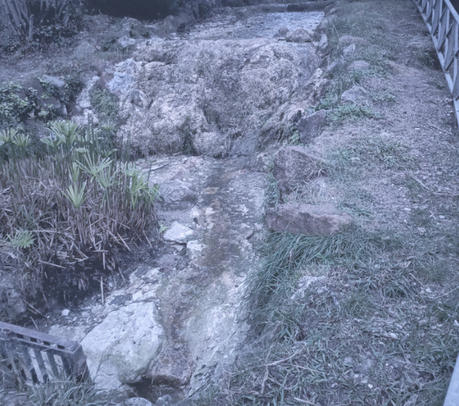 Villa Pamphili abbandonata: cascata a secco mette a rischio l'ecosistema del laghetto. La denuncia (FOTO) 1 Villa Pamphili abbandonata: cascata a secco mette a rischio l'ecosistema del laghetto. La denuncia (FOTO) 1