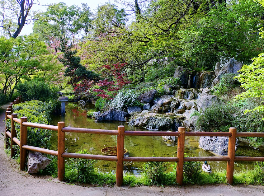 Nuovo volto digitale per l’Orto Botanico di Roma: il suo patrimonio verde diventa interattivo con audioguide e AI (FOTO) 5 Nuovo volto digitale per l’Orto Botanico di Roma: il suo patrimonio verde diventa interattivo con audioguide e AI (FOTO) 5