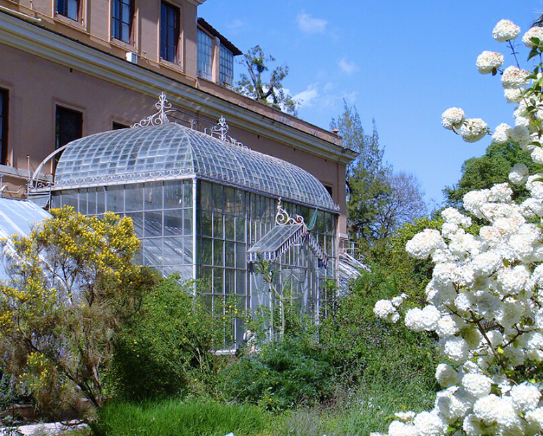 Nuovo volto digitale per l’Orto Botanico di Roma: il suo patrimonio verde diventa interattivo con audioguide e AI (FOTO) 4 Nuovo volto digitale per l’Orto Botanico di Roma: il suo patrimonio verde diventa interattivo con audioguide e AI (FOTO) 4