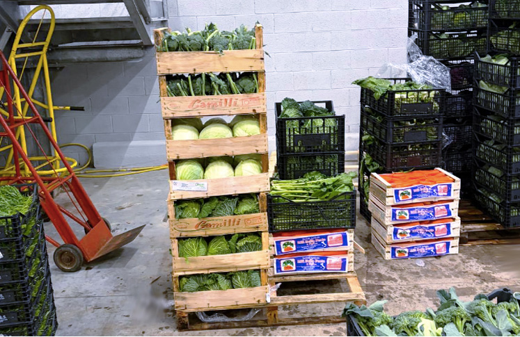 Il cuore dell’agricoltura laziale batte a Natale: maxi dono di 80 quintali di frutta e verdura alle persone fragili (FOTO) 2 Il cuore dell’agricoltura laziale batte a Natale: maxi dono di 80 quintali di frutta e verdura alle persone fragili (FOTO) 2
