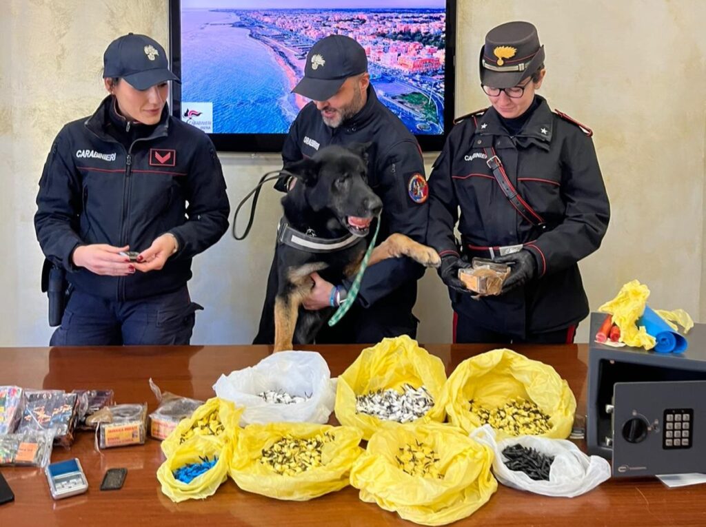 Blitz anti droga a Ostia: sequestri per 100mila euro e sei arresti 1