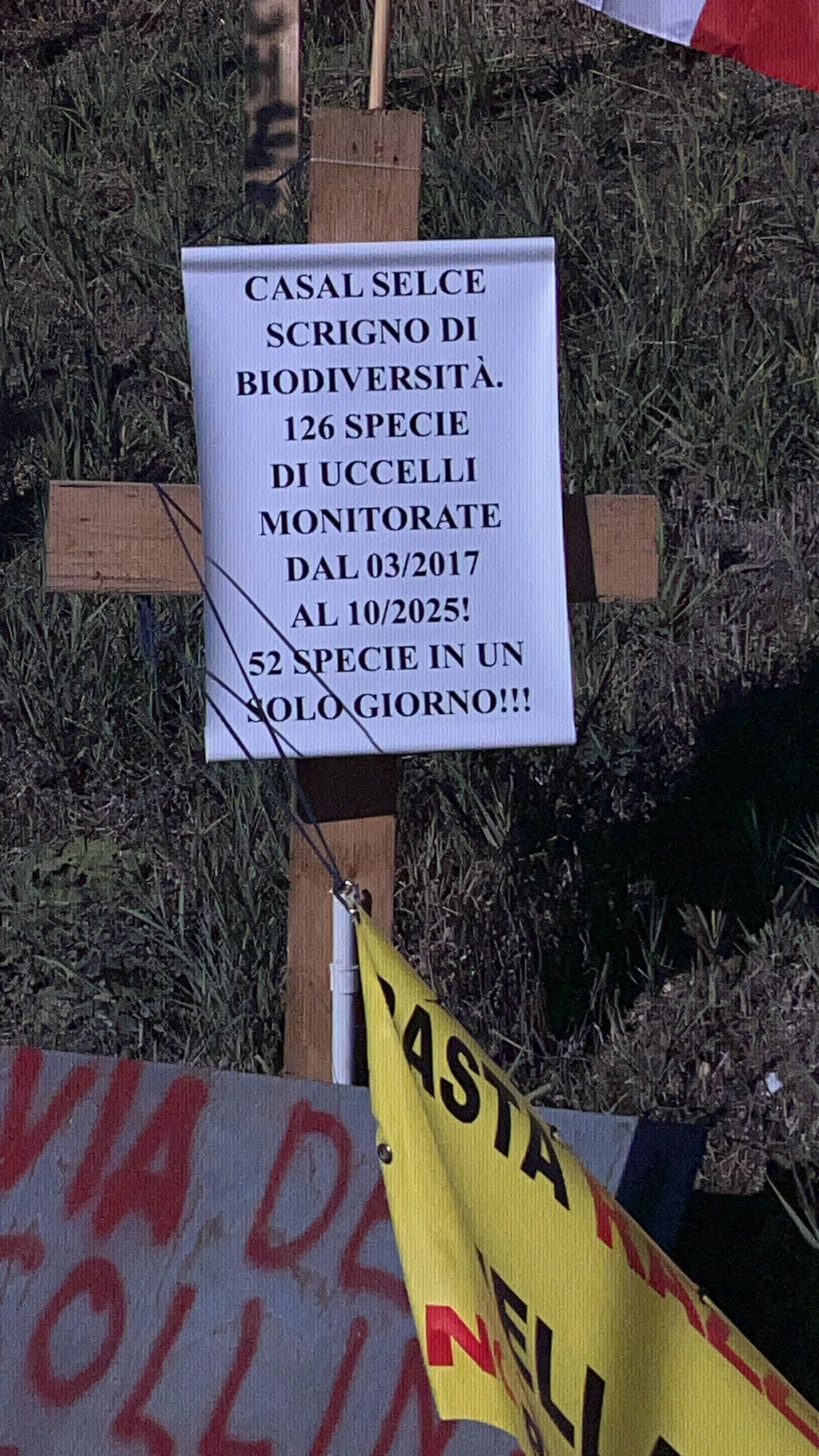Croci, bare e slogan contro il biodigestore, si riaccende la protesta a Casal Selce (VIDEO) 2