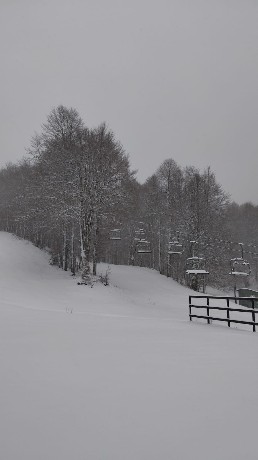 Natale con la neve a Monte Livata: la montagna di Roma si veste di bianco (VIDEO) 2
