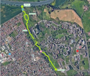 On line la nuova mappa della Riserva statale del Litorale Romano: itinerari da scoprire tra Ostia a Passoscuro 1 On line la nuova mappa della Riserva statale del Litorale Romano: itinerari da scoprire tra Ostia a Passoscuro 1