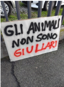 Animalisti italiani protestano a Boccea di fronte al Circo Ronyroller di Stefano Orfei 4 Animalisti italiani protestano a Boccea di fronte al Circo Ronyroller di Stefano Orfei 4