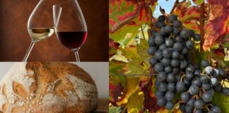 Degustiamo il territorio, a Cerveteri degustazioni e prodotti locali: tutte le info