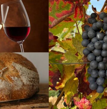 Degustiamo il territorio, a Cerveteri degustazioni e prodotti locali: tutte le info
