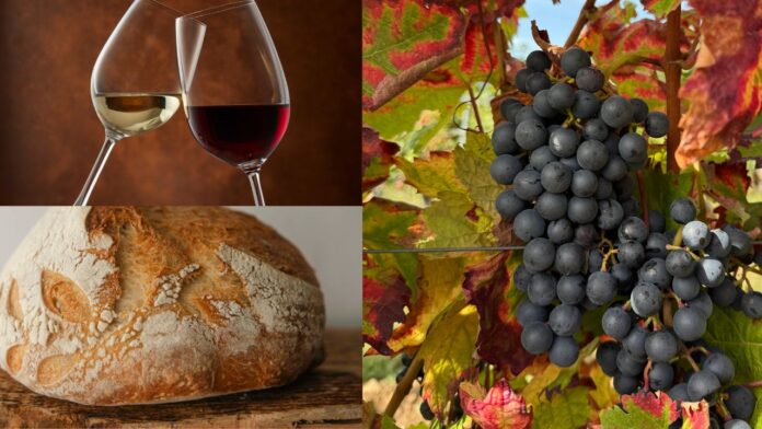 Degustiamo il territorio, a Cerveteri degustazioni e prodotti locali: tutte le info