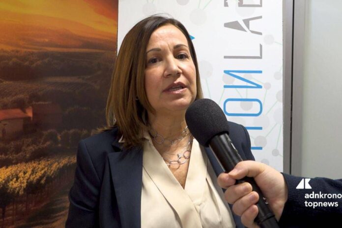 Imprese, Tiloca (CamCom Sassari): “Camera del Futuro portale modellato per aziende del Nord Sardegna”