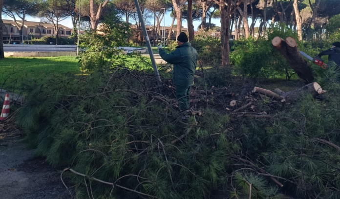 PINETA MAZZA ANZIO CHIUSA TEMPORANEAMENTE DOPO MALTEMPO E COCCINIGLIA FOTO COP GEN 2026 ANZIO