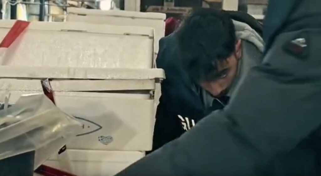 Pesce non tracciato, nuovo maxi sequestro al mercato Esquilino 1