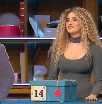 New entry di Affari Tuoi del 20 gennaio 2026: chi è Susanna dall'Abruzzo